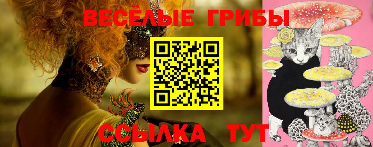 Знаменск  Галлюциногенные грибы Psilocybe  Вход с VPN 